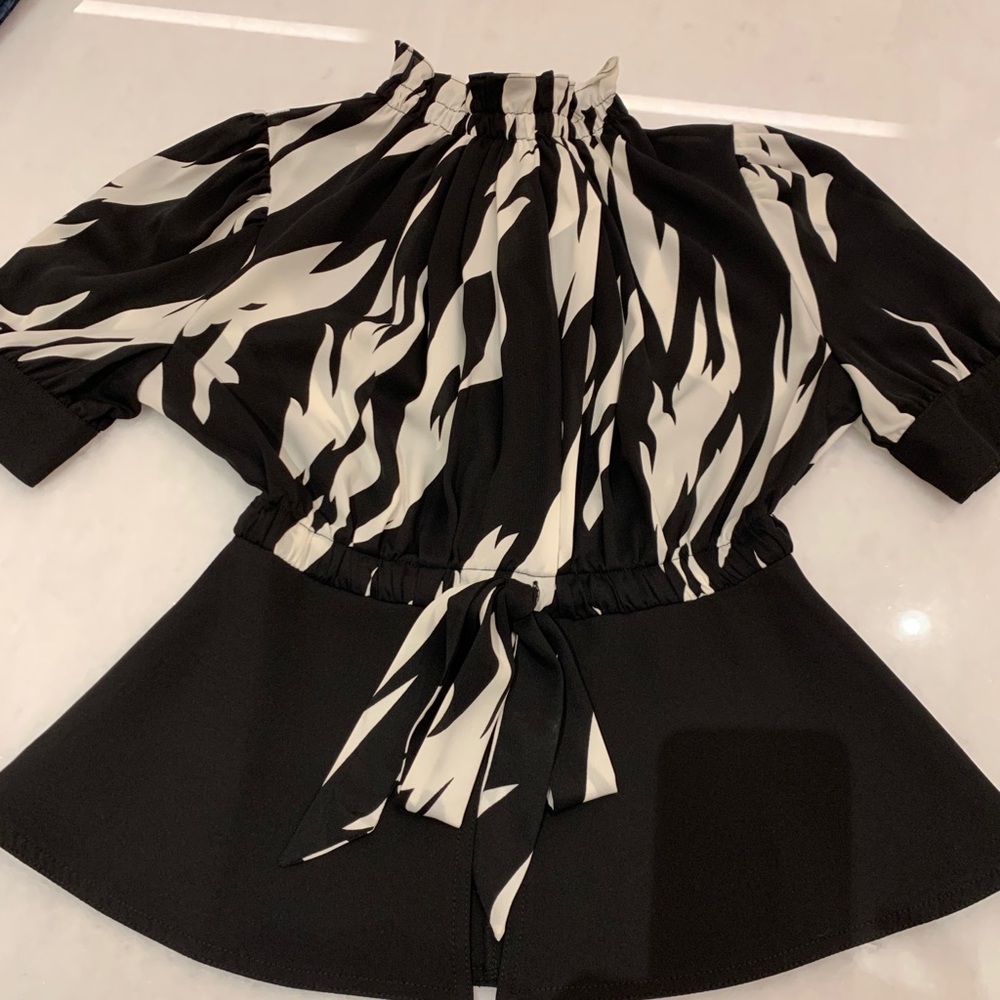 Beautiful zebra print Chloe Dao blouse